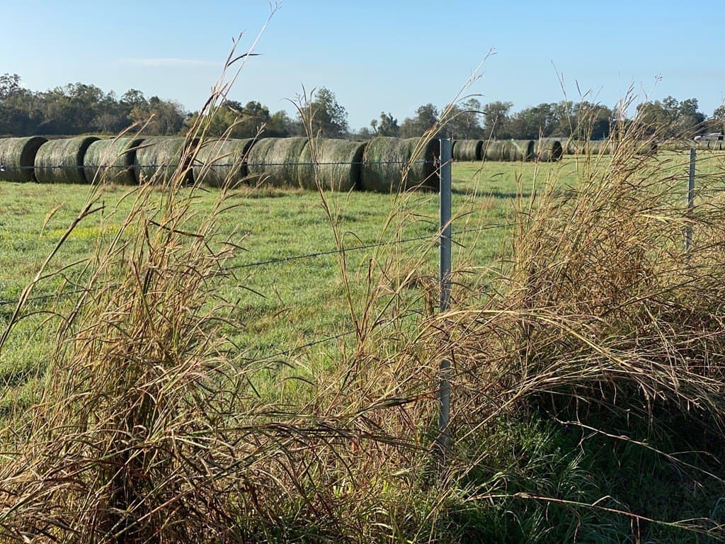 18 acres in Texas County - photo 8