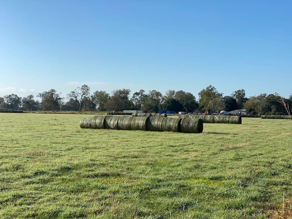 18 acres in Texas County - photo 2