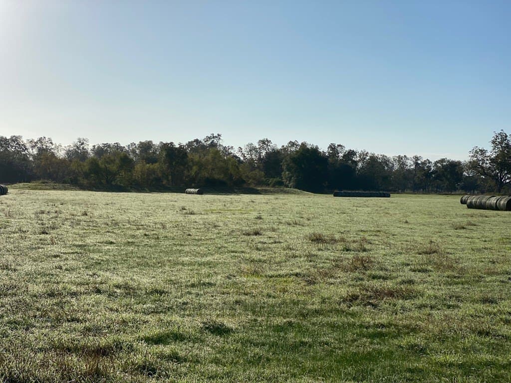 18 acres in Texas County - photo 3