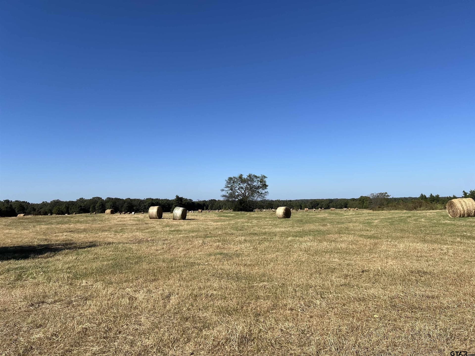 TBD SW CR 3010