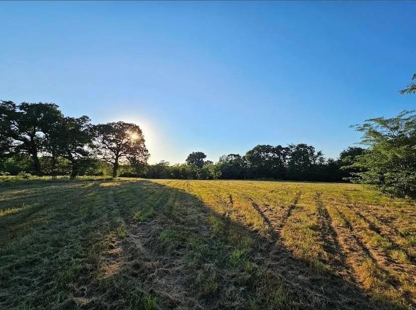 5 acres in Hopkins County - photo 4