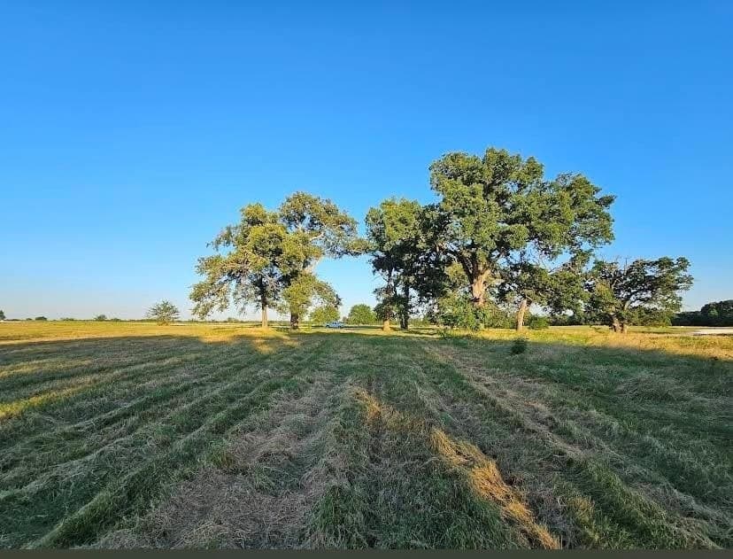 5 acres in Hopkins County - photo 3