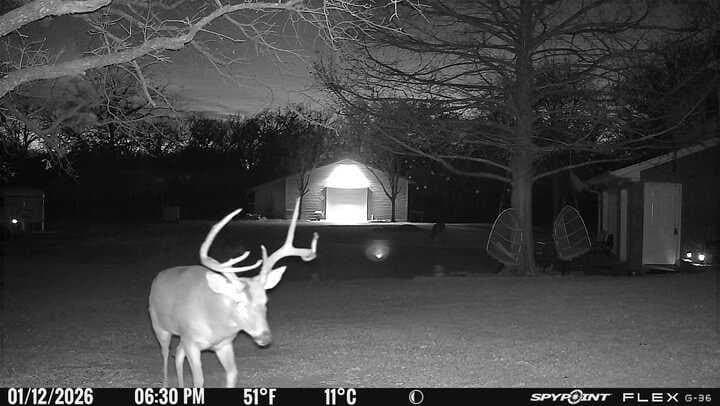 22.69 acres in Denton County - photo 9