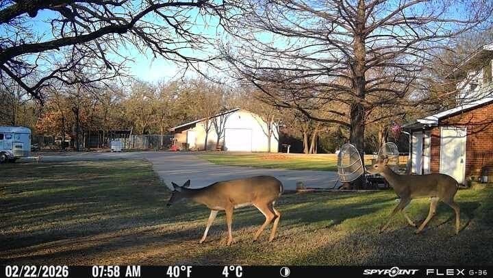 22.69 acres in Denton County - photo 11