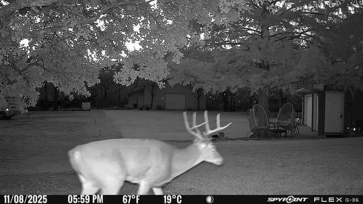 22.69 acres in Denton County - photo 15