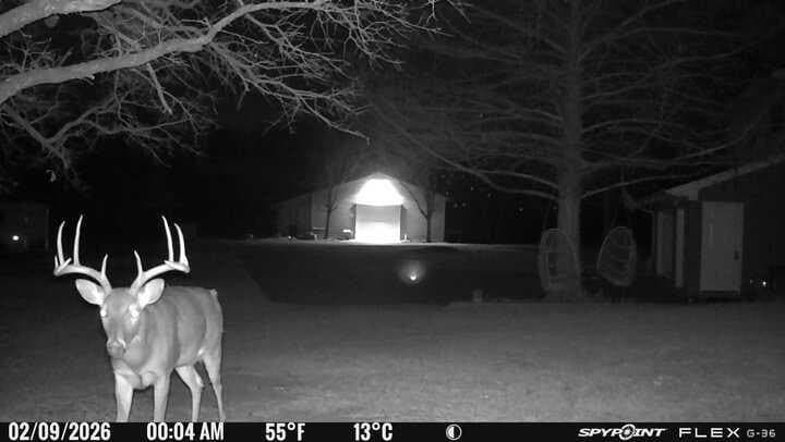 22.69 acres in Denton County - photo 14