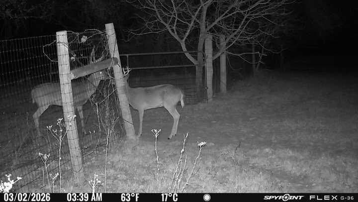 22.69 acres in Denton County - photo 10