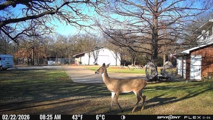 22.69 acres in Denton County - photo 13