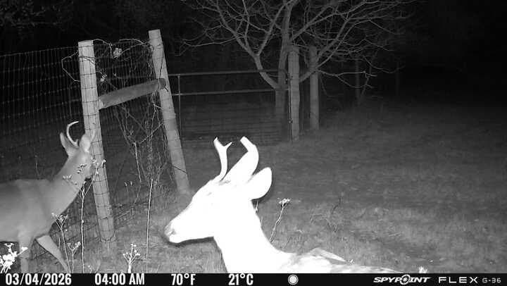 22.69 acres in Denton County - photo 38