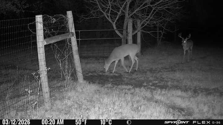 22.69 acres in Denton County - photo 37