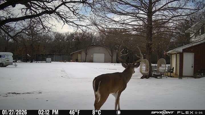 22.69 acres in Denton County - photo 8