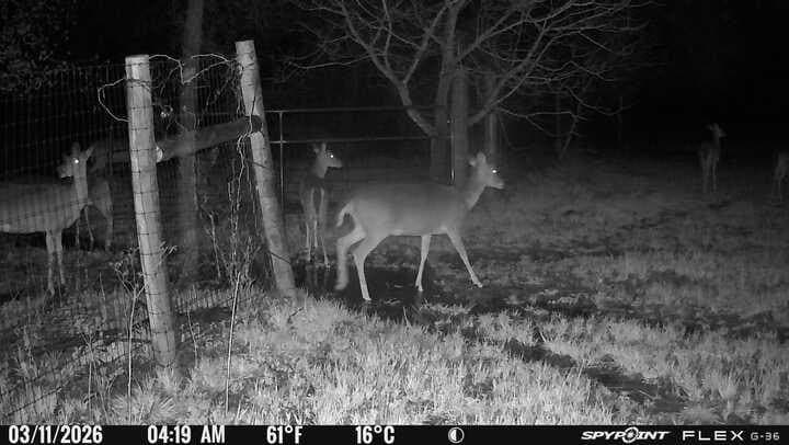 22.69 acres in Denton County - photo 36