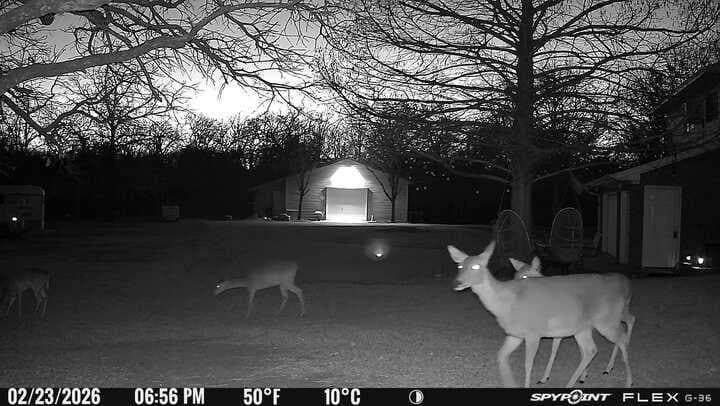 22.69 acres in Denton County - photo 17