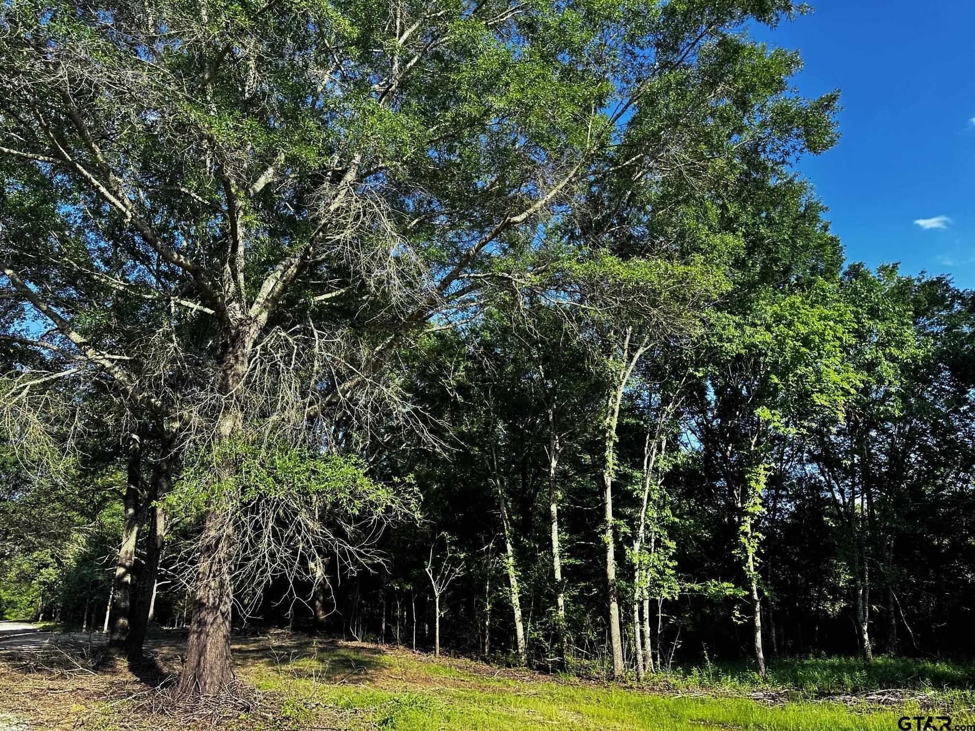 10.01 acres in Van Zandt County - photo 7