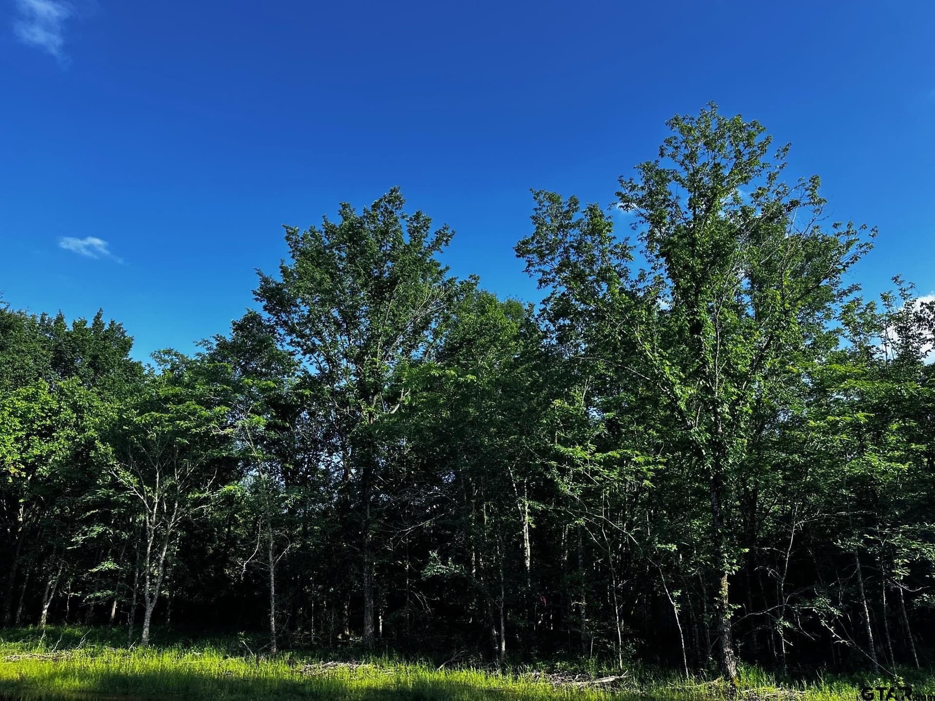 10.01 acres in Van Zandt County - photo 6