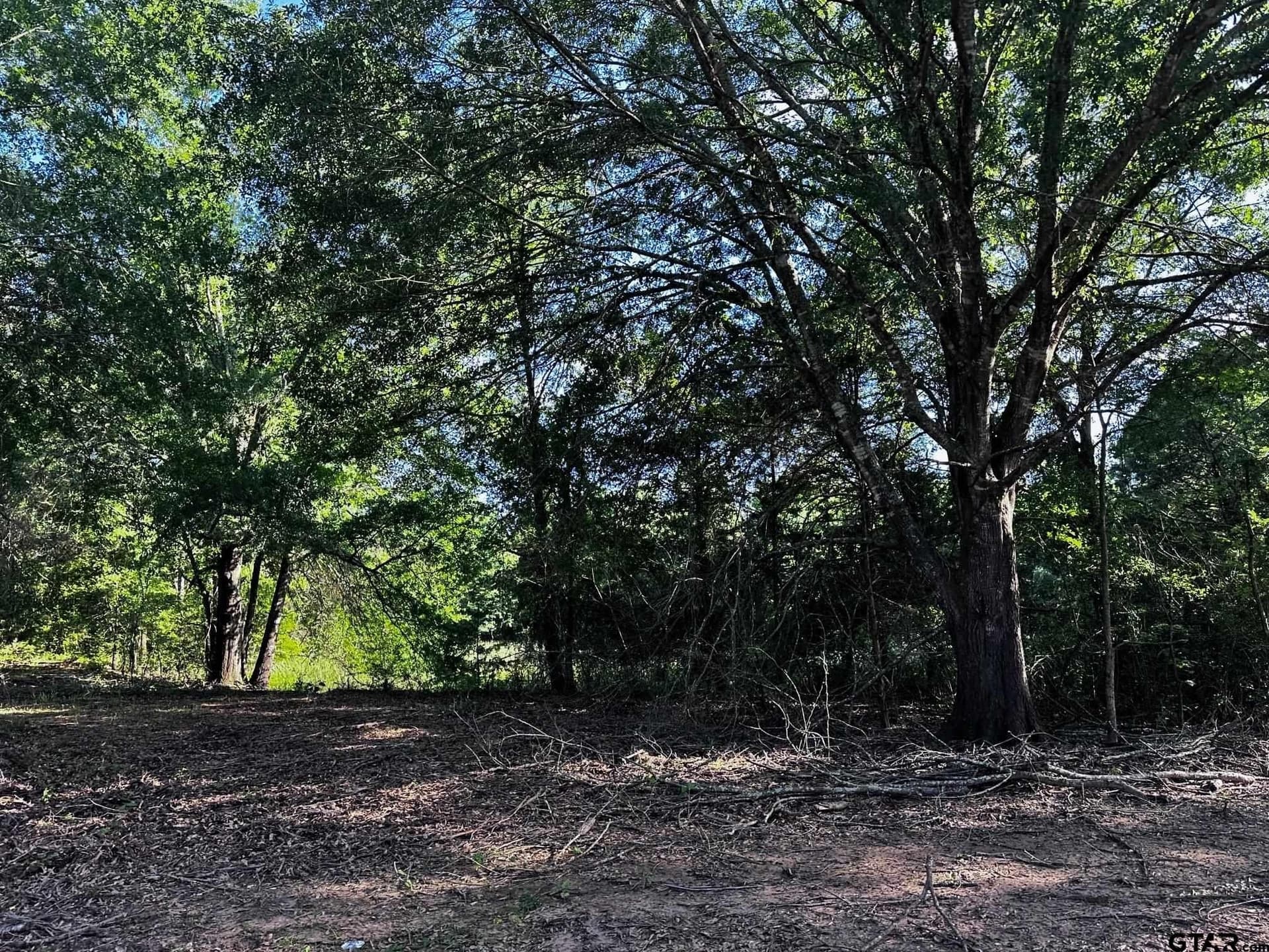 10.01 acres in Van Zandt County - photo 5