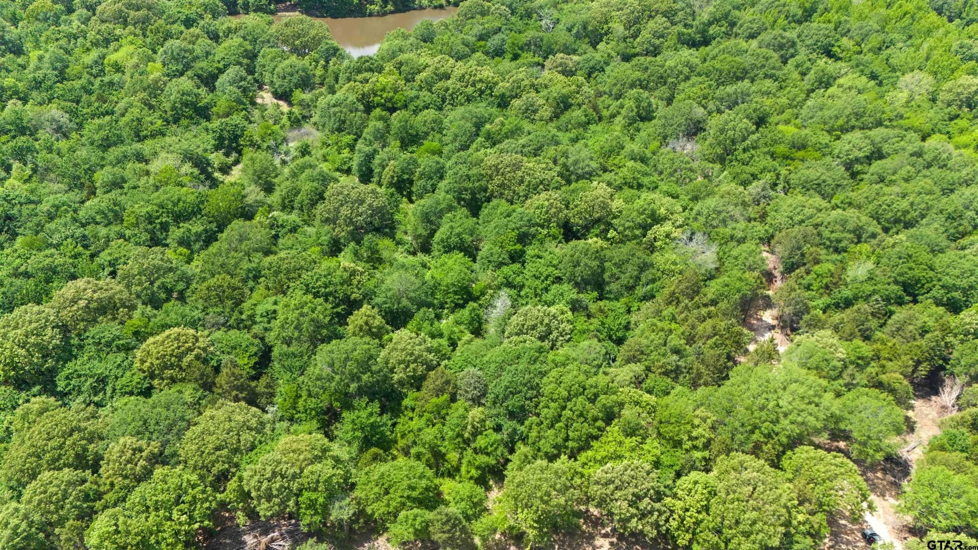 10.01 acres in Van Zandt County - photo 14