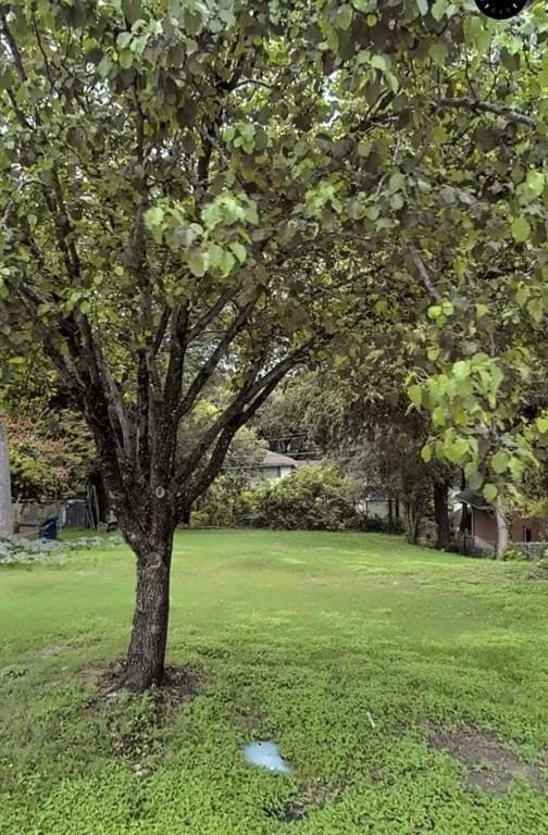 0.18 acres in Dallas County - photo 2