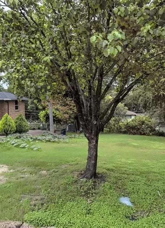 0.18 acres in Dallas County - photo 3