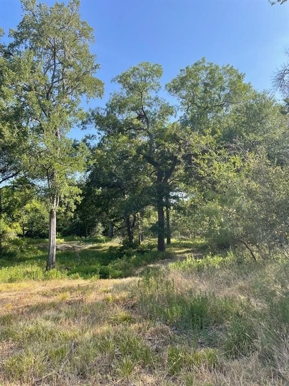 40.64 acres in Limestone County - photo 6