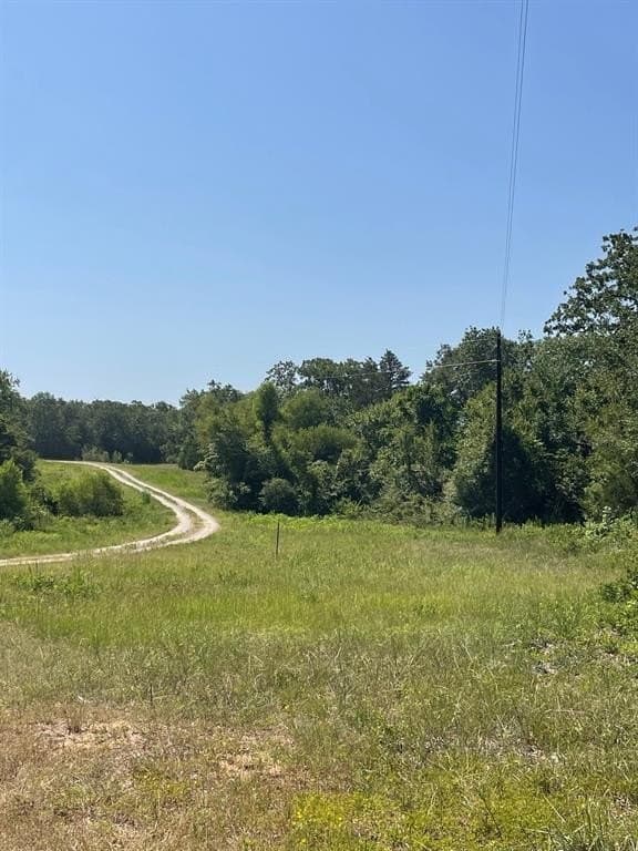 40.64 acres in Limestone County - photo 4