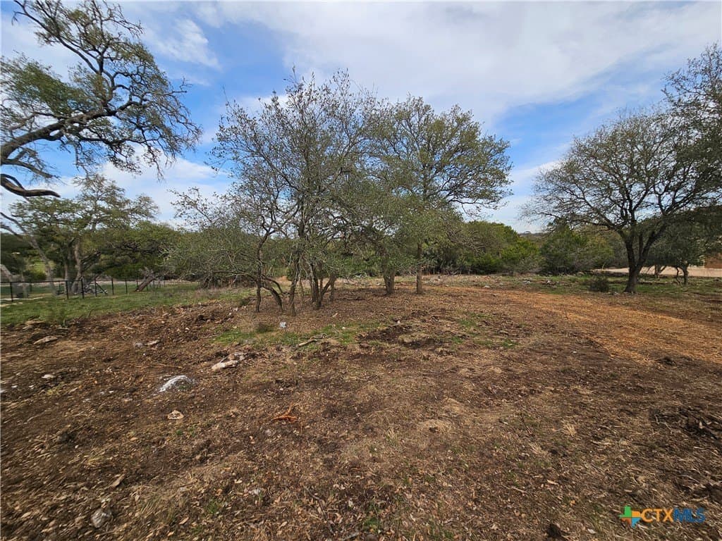 1.1 acres in Comal County - photo 3
