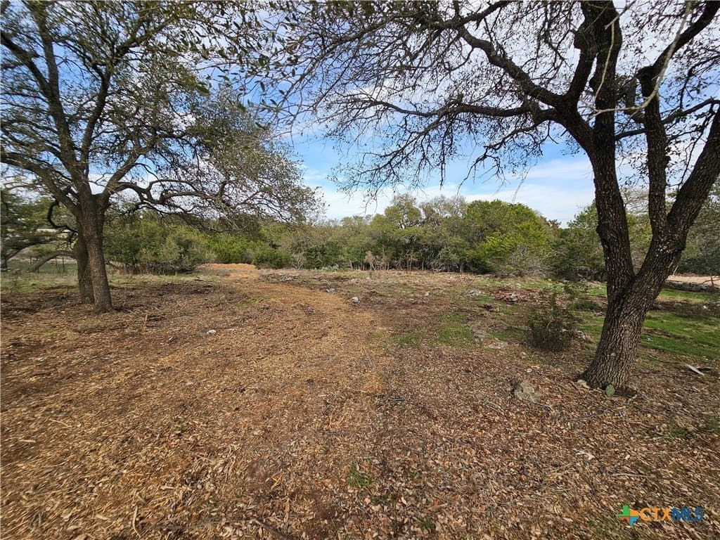 1.1 acres in Comal County - photo 5
