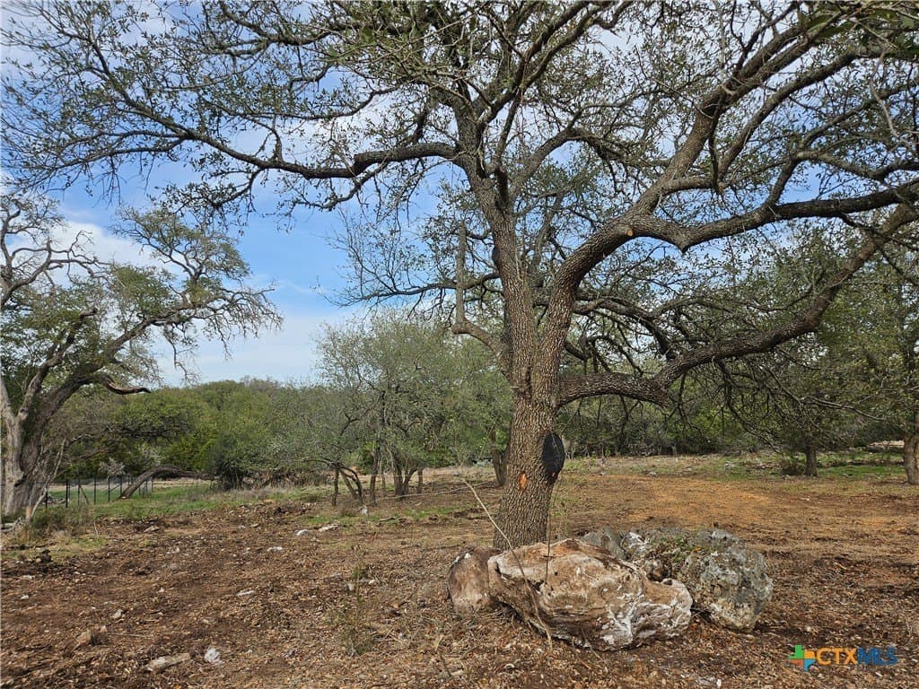 1.1 acres in Comal County - photo 2
