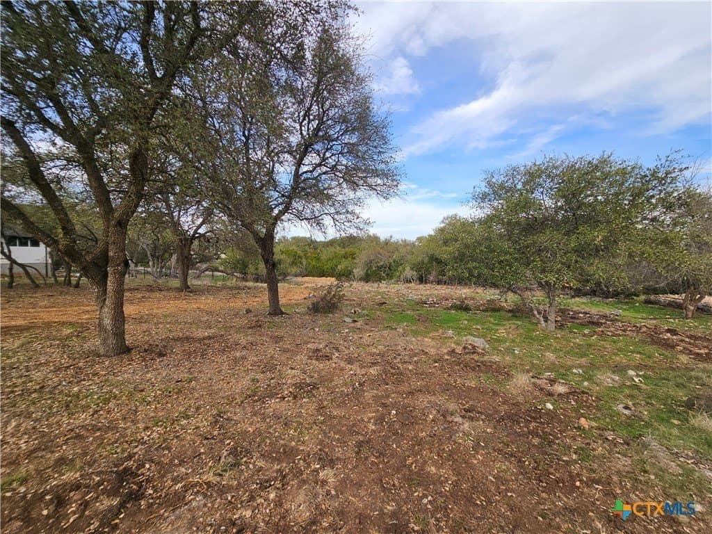 1.1 acres in Comal County - photo 4