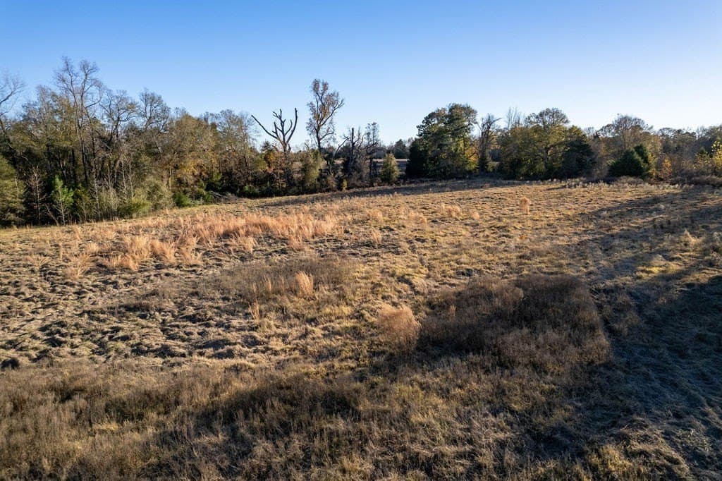 49 acres in ANDERSON County - photo 10
