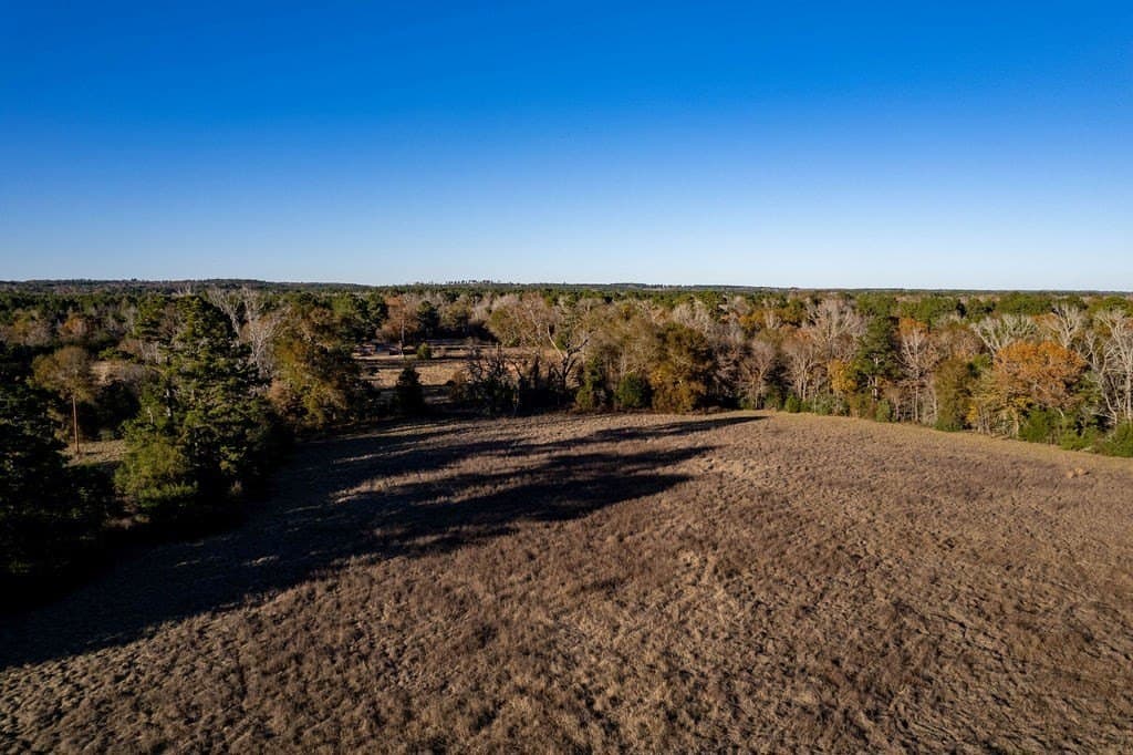 49 acres in ANDERSON County - photo 6