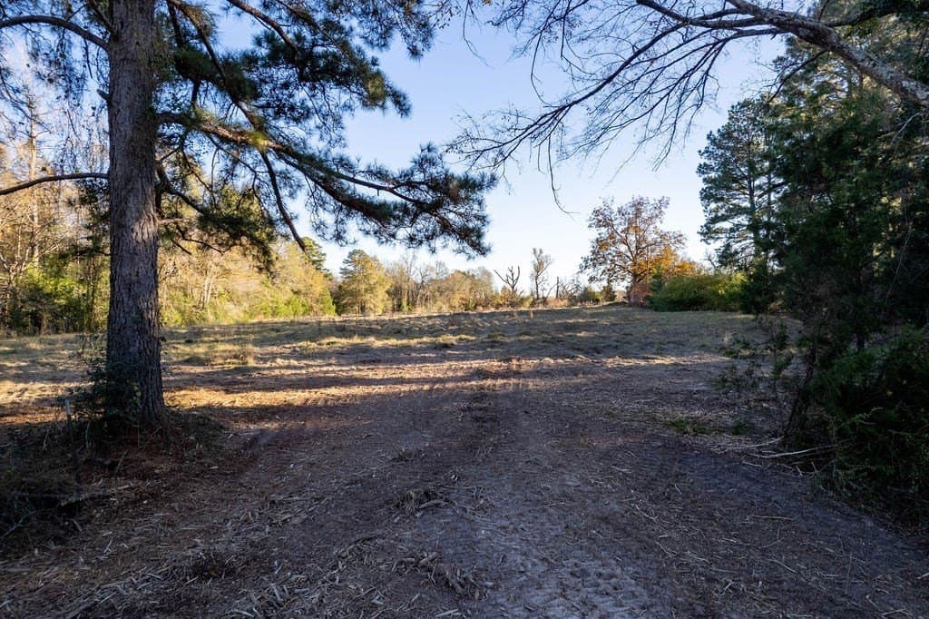 49 acres in ANDERSON County - photo 15
