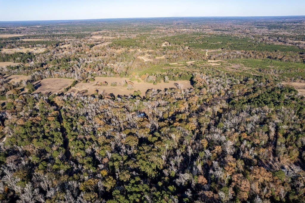 49 acres in ANDERSON County - photo 25