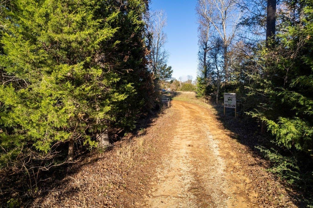 49 acres in ANDERSON County - photo 8