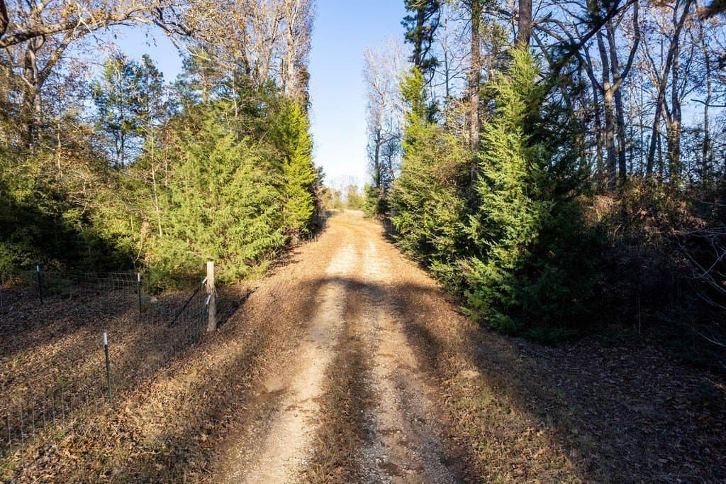 49 acres in ANDERSON County - photo 7