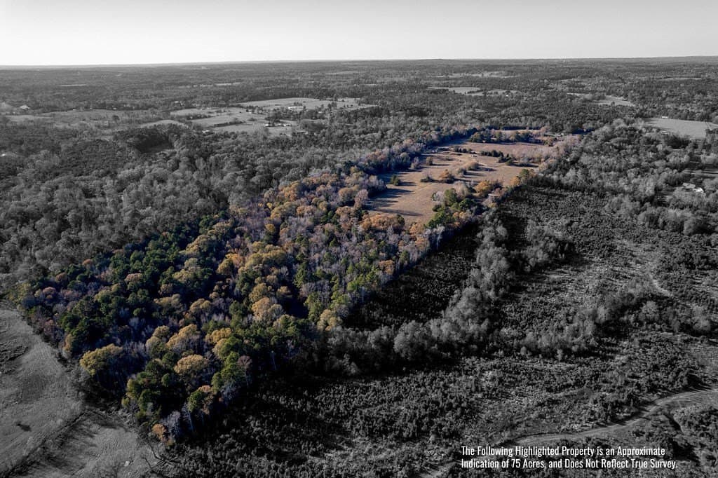 49 acres in ANDERSON County - photo 28