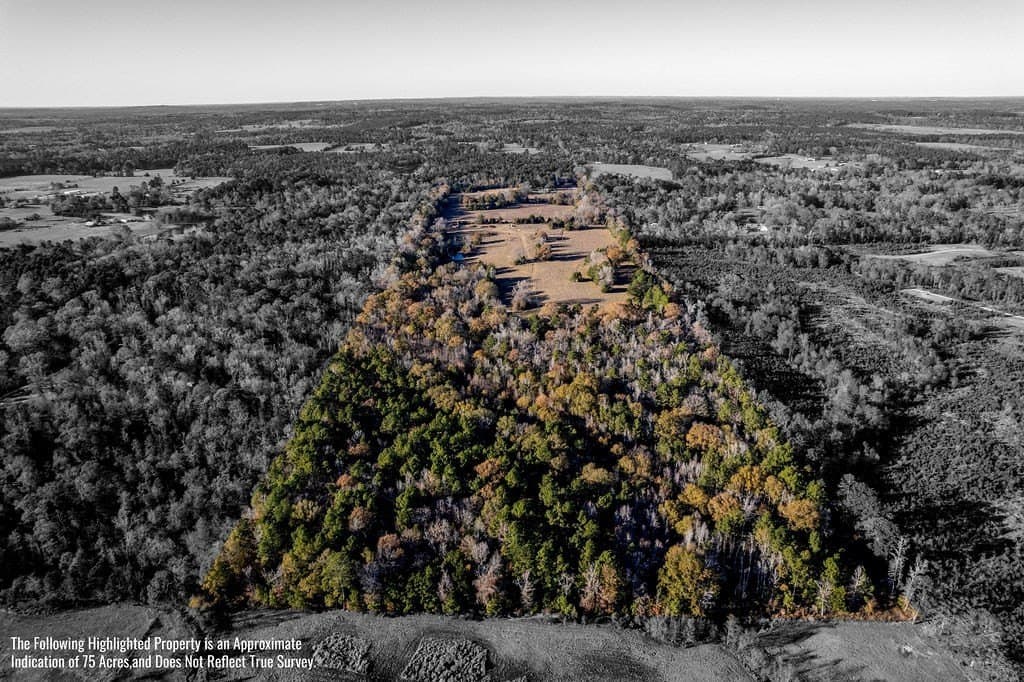 49 acres in ANDERSON County - photo 22