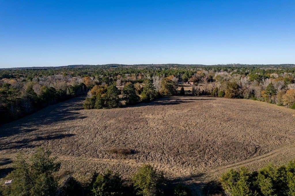 49 acres in ANDERSON County - photo 9