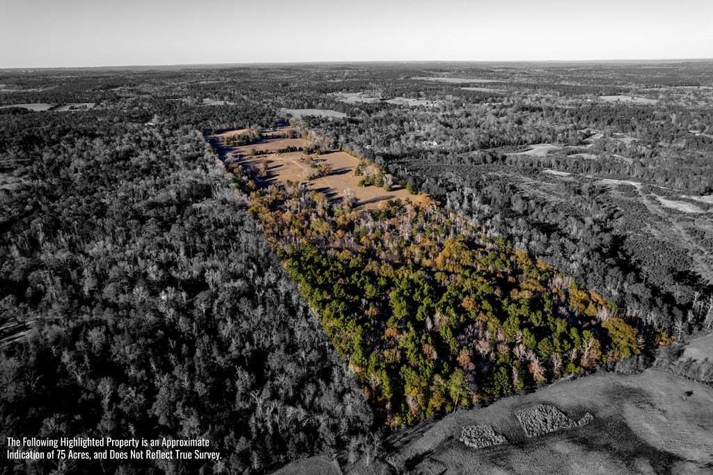 49 acres in ANDERSON County - photo 27