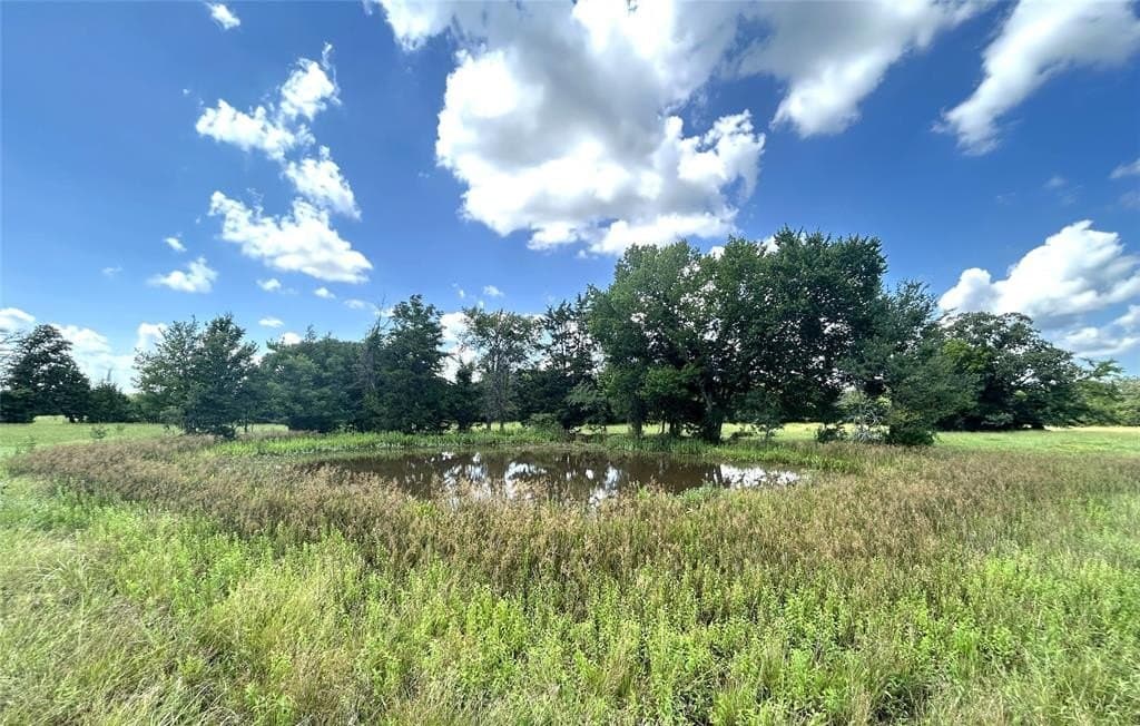22.17 acres in Red River (TX) County - photo 27