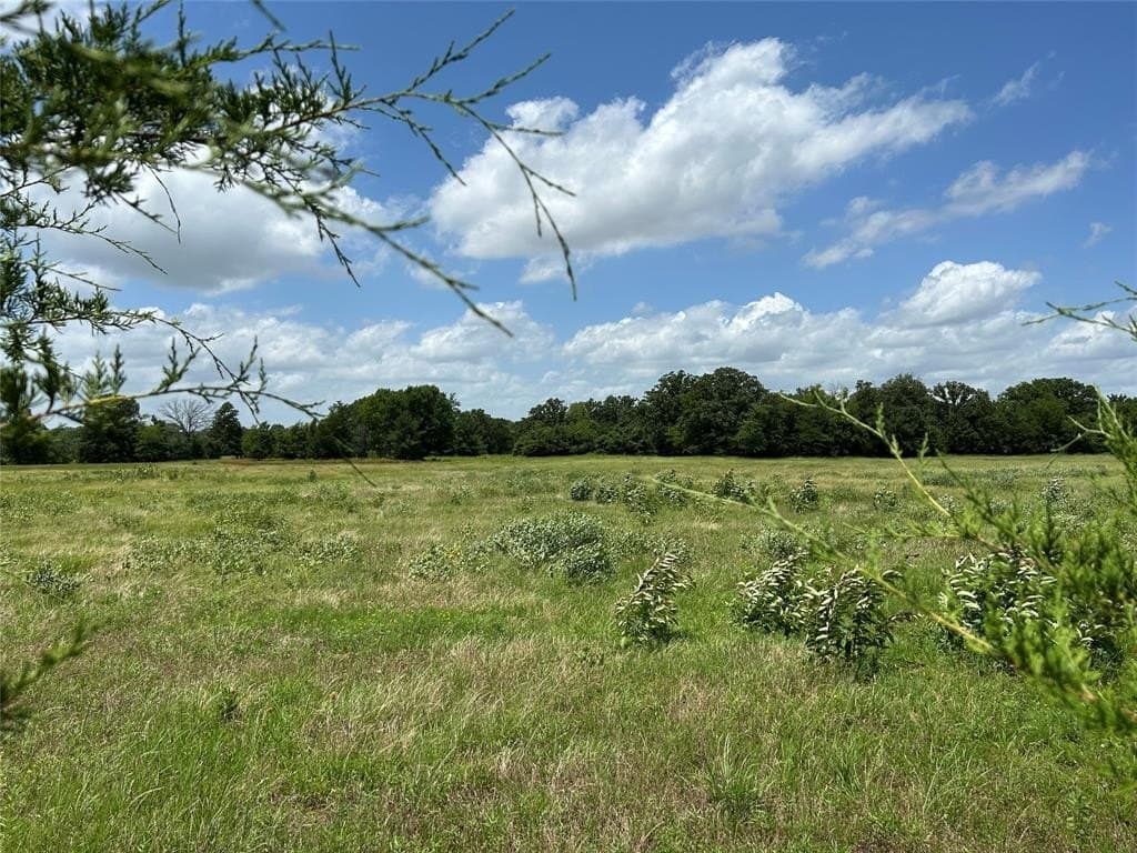 22.17 acres in Red River (TX) County - photo 23