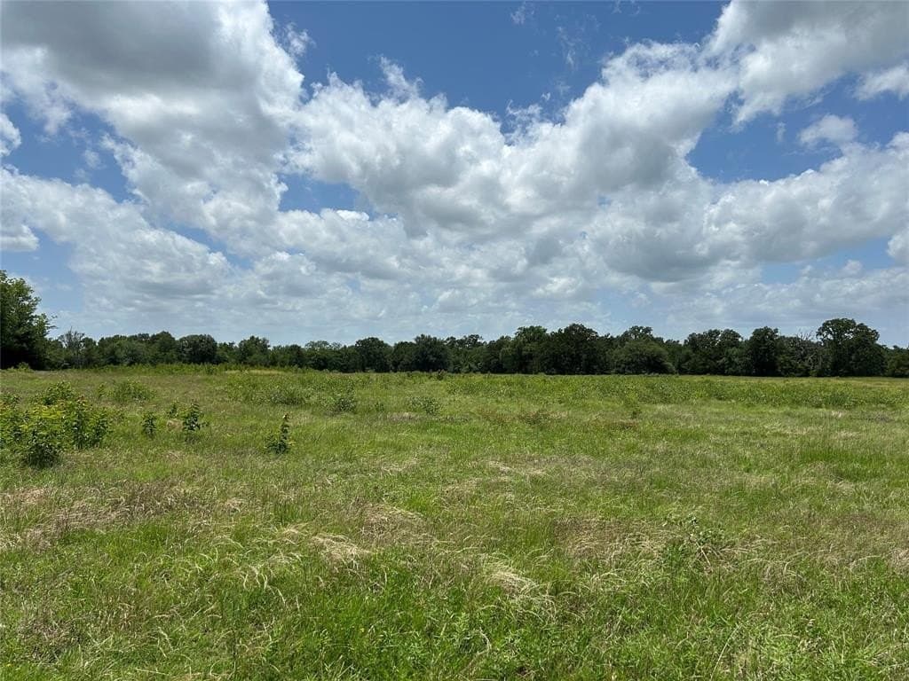 22.17 acres in Red River (TX) County - photo 24
