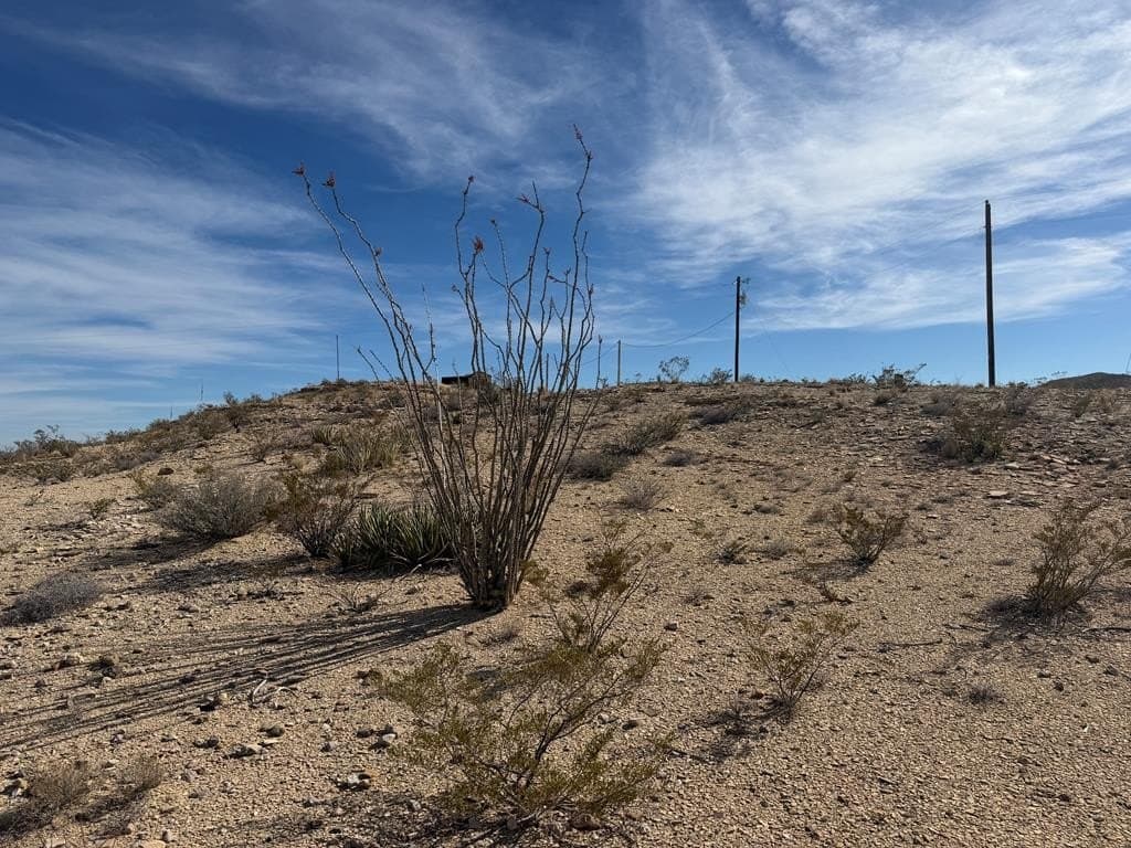 33189 Terlingua Ghost Town Road