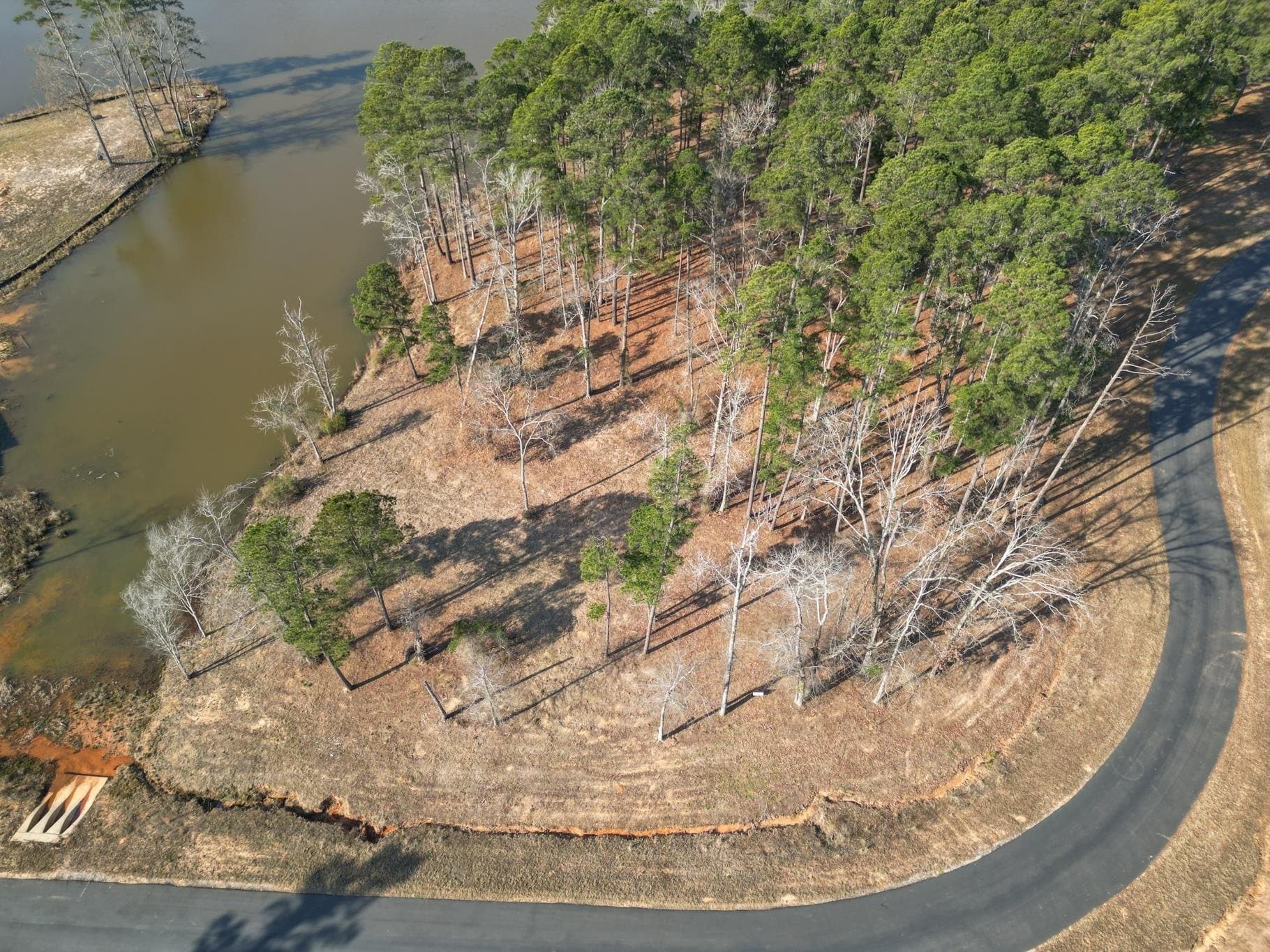 1.01 acres in Harrison County - photo 3