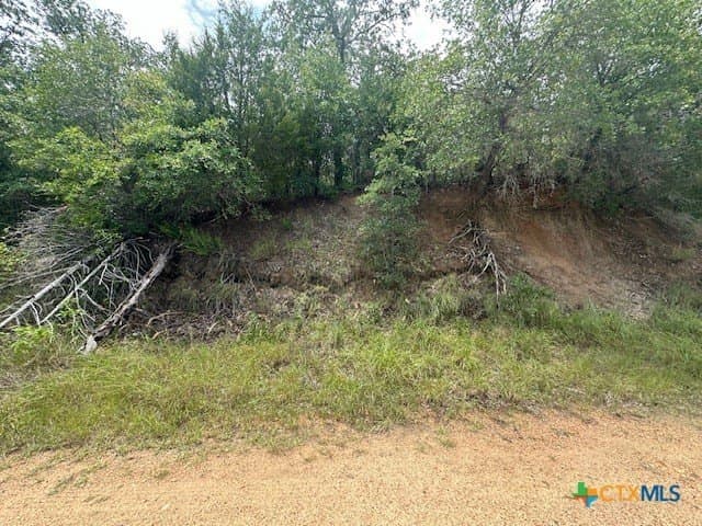 0.81 acres in Bastrop County - photo 5
