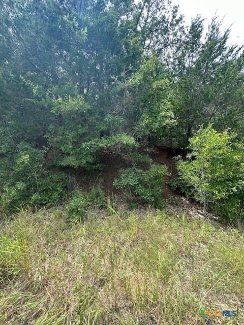 0.81 acres in Bastrop County - photo 3