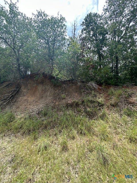 0.81 acres in Bastrop County - photo 4