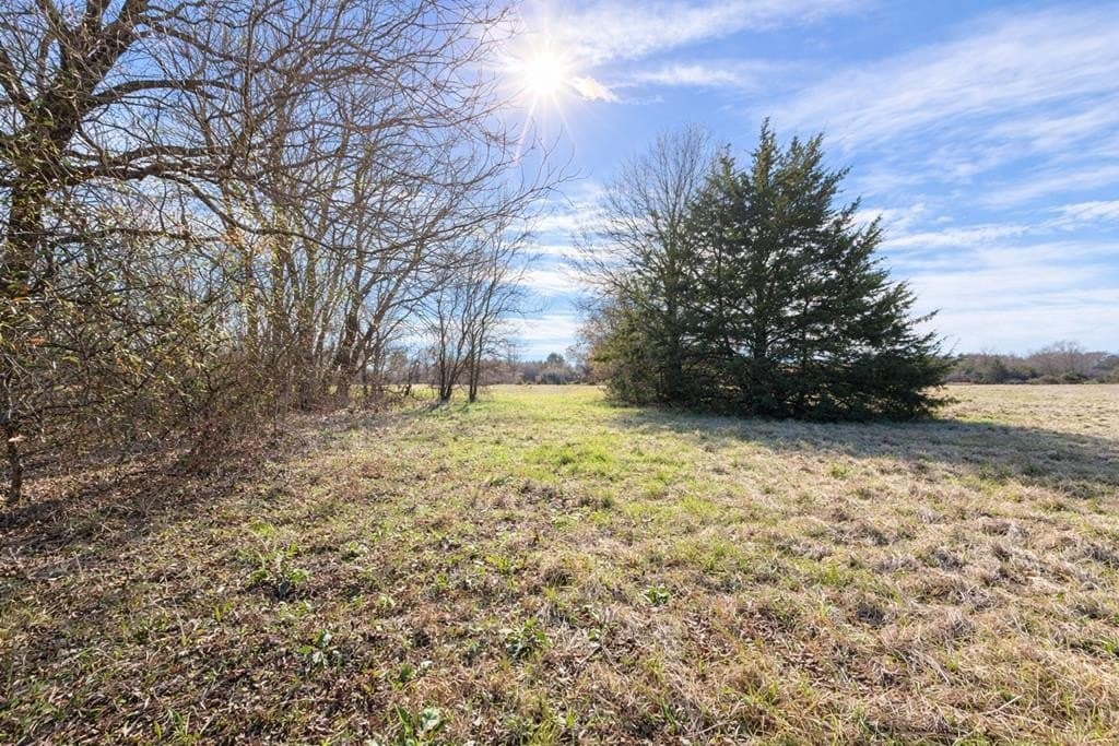 19.22 acres in Henderson County - photo 4