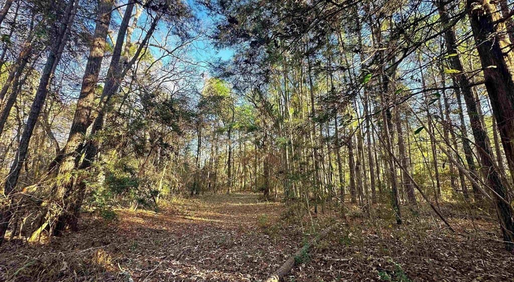 33.5 acres in ANDERSON County - photo 28