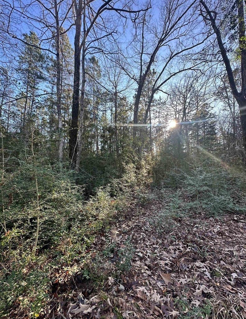 33.5 acres in ANDERSON County - photo 24